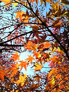 c0104930_23493779.jpg