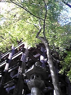 c0104930_23495895.jpg