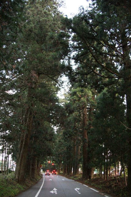 e0064133_0739.jpg