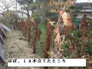 目隠しトタン塀の修理工事_f0031037_17201726.jpg