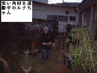 目隠しトタン塀の修理工事_f0031037_17204015.jpg