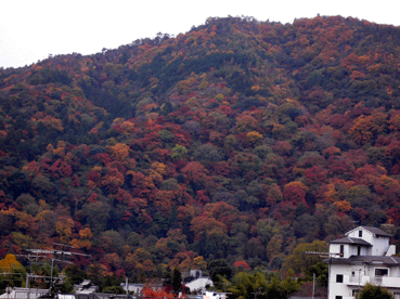 c0080038_13123252.gif