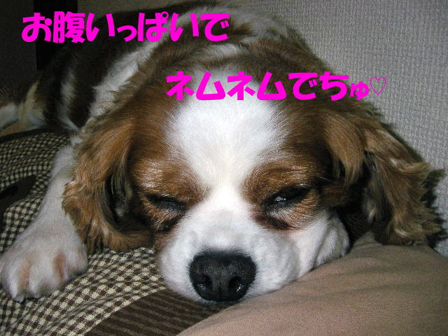 c0136838_21215933.gif