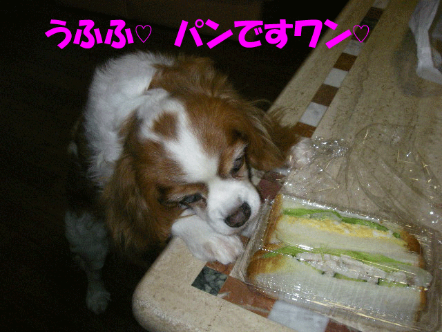 c0136838_21374.gif