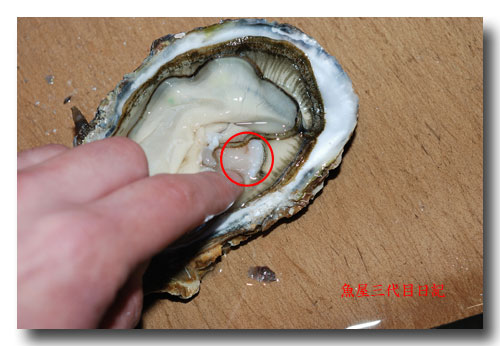 牡蠣 カキ の捌き方 殻付き牡蠣の剥き方です 魚屋三代目日記 牡蠣 カキ の捌き方 殻付き牡蠣の剥き方です 魚屋三代目日記