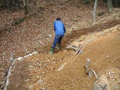 f0090444_2032411.jpg