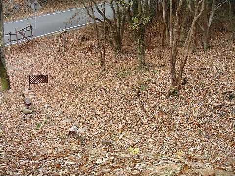 f0090444_20354412.jpg