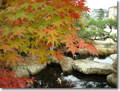 b0066947_22173995.jpg