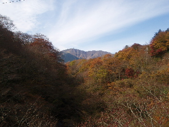 秋の箱根_a0061057_0212550.jpg