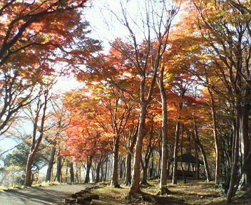 秋の箱根_a0061057_040475.jpg