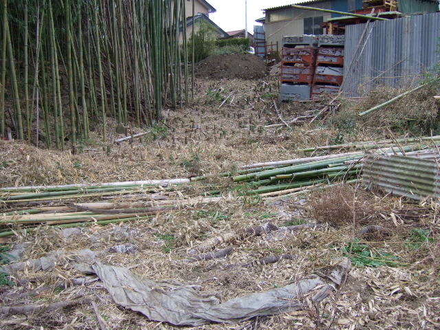 e0009760_18543820.jpg