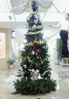 クリスマス・・・の準備☆_d0062076_10134699.jpg