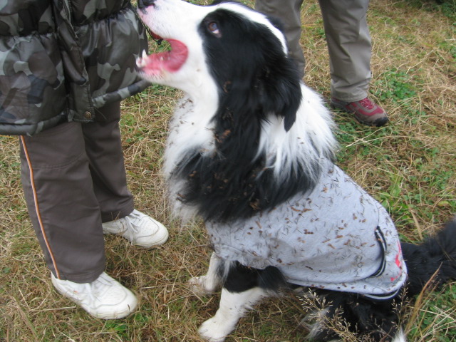 e0117976_11383240.jpg