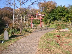 a0087378_5331957.jpg