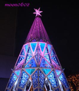 e0124681_23392223.jpg