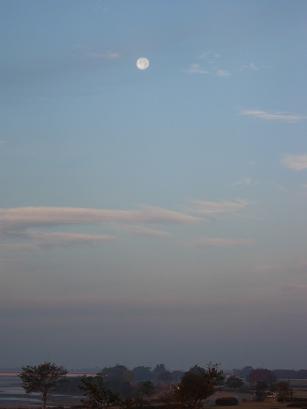 f0099781_19575100.jpg