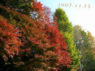 c0029190_20473928.jpg