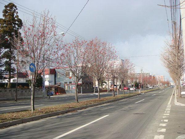 散歩道の花 35_f0146493_92473.jpg
