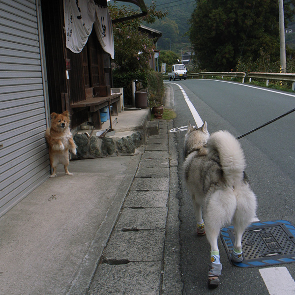 c0049299_2011144.jpg