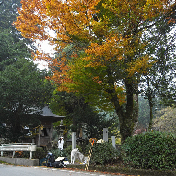 c0049299_2023362.jpg