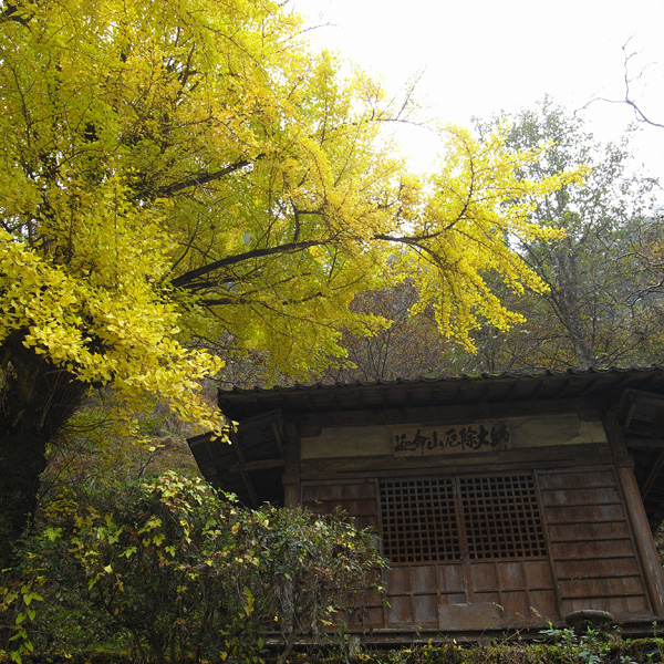 c0049299_20431893.jpg
