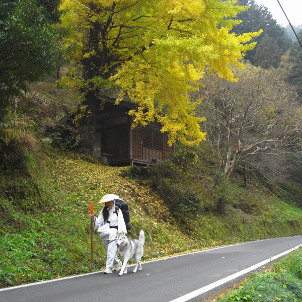 c0049299_2044549.jpg