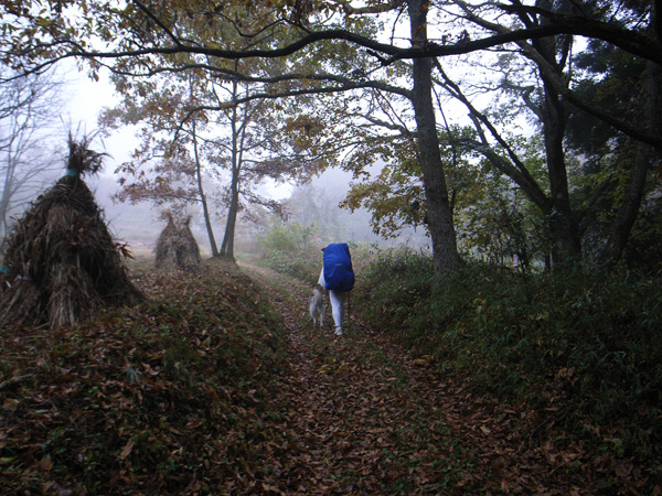 c0049299_2050245.jpg