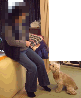c0128303_23473355.gif