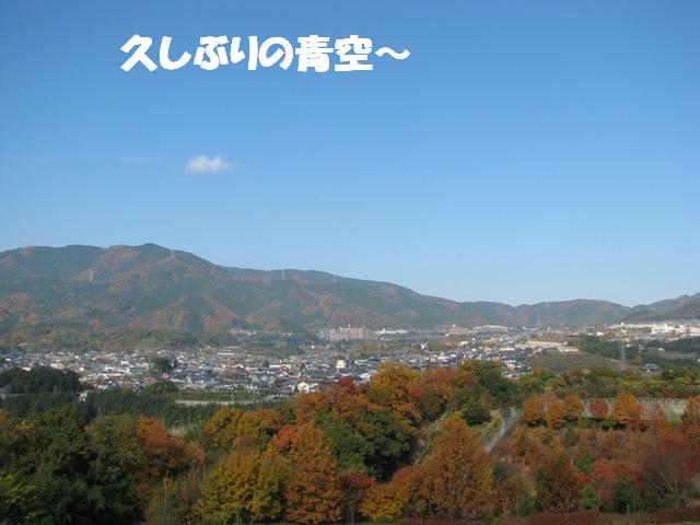 d0081210_13305250.jpg