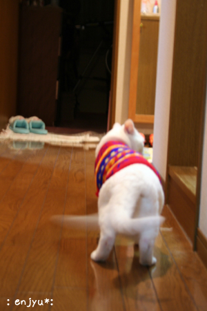 c0123612_0124140.jpg