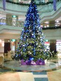 f0062414_23475499.jpg