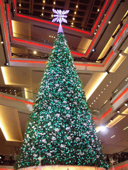 b0026822_17342391.gif