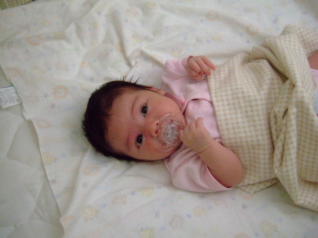 c0151122_1616740.jpg