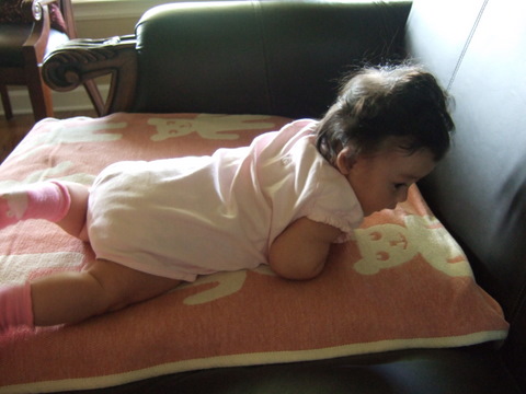 c0151122_1653898.jpg