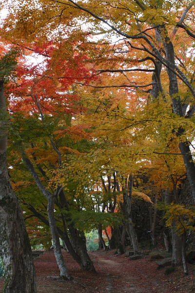 鶴山公園　☆　Ⅳ_d0120622_18344985.jpg