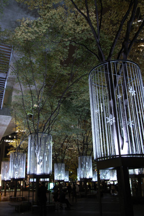 a0068424_238727.jpg