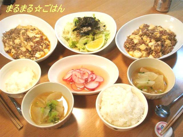 和定食の日＆マーボー豆腐の日～28,29日の晩ごはん～_b0102728_17354935.jpg