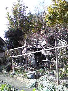 f0016929_10255970.jpg