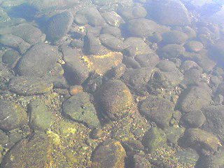 f0016929_1034692.jpg