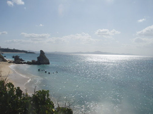11月30日お天気回復!!海はもう少し!_c0070933_2110887.jpg