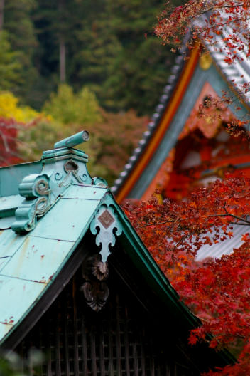 寺社シリーズ（19）～勝尾寺（後編）_c0032138_12432762.jpg