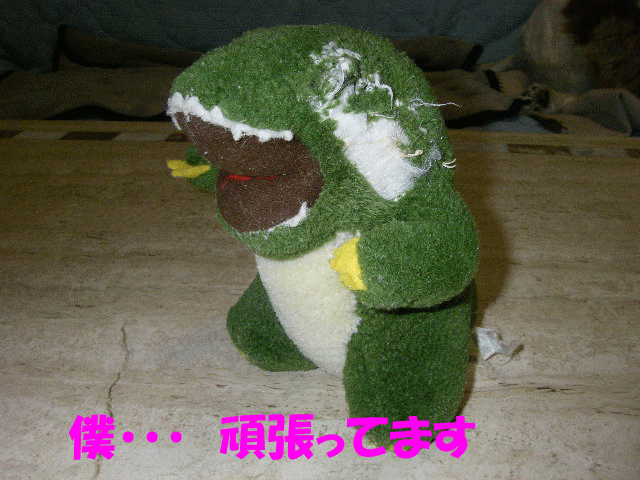 c0136838_18164617.gif