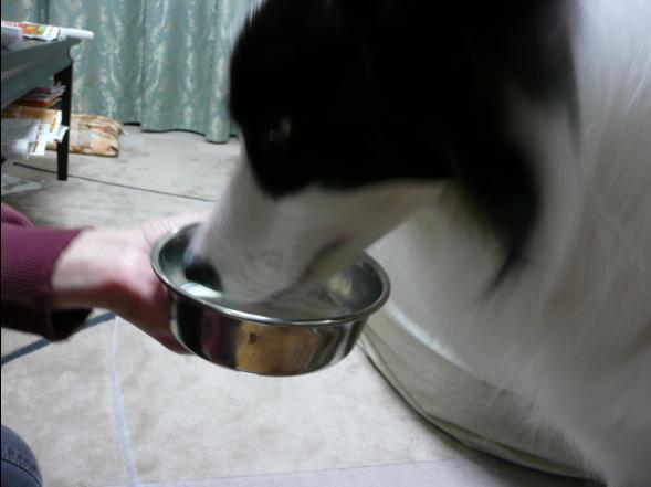 c0147241_18241931.jpg