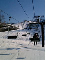 f0114145_1655615.jpg