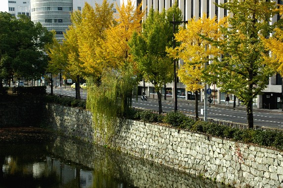 紅葉・黄葉_b0093754_014573.jpg