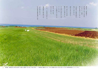 c0060254_9371016.jpg