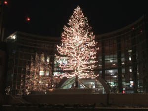 c0097856_0311793.jpg