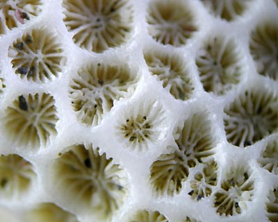 e0035757_18551370.jpg