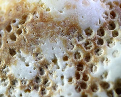e0035757_1855144.jpg