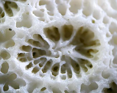 e0035757_18553338.jpg